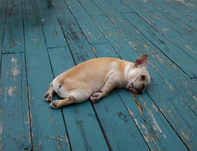 12745560-R3L8T8D-650-10293960-R3L8T8D-650-1